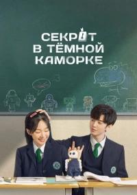 Секрет в тёмной каморке (2021)